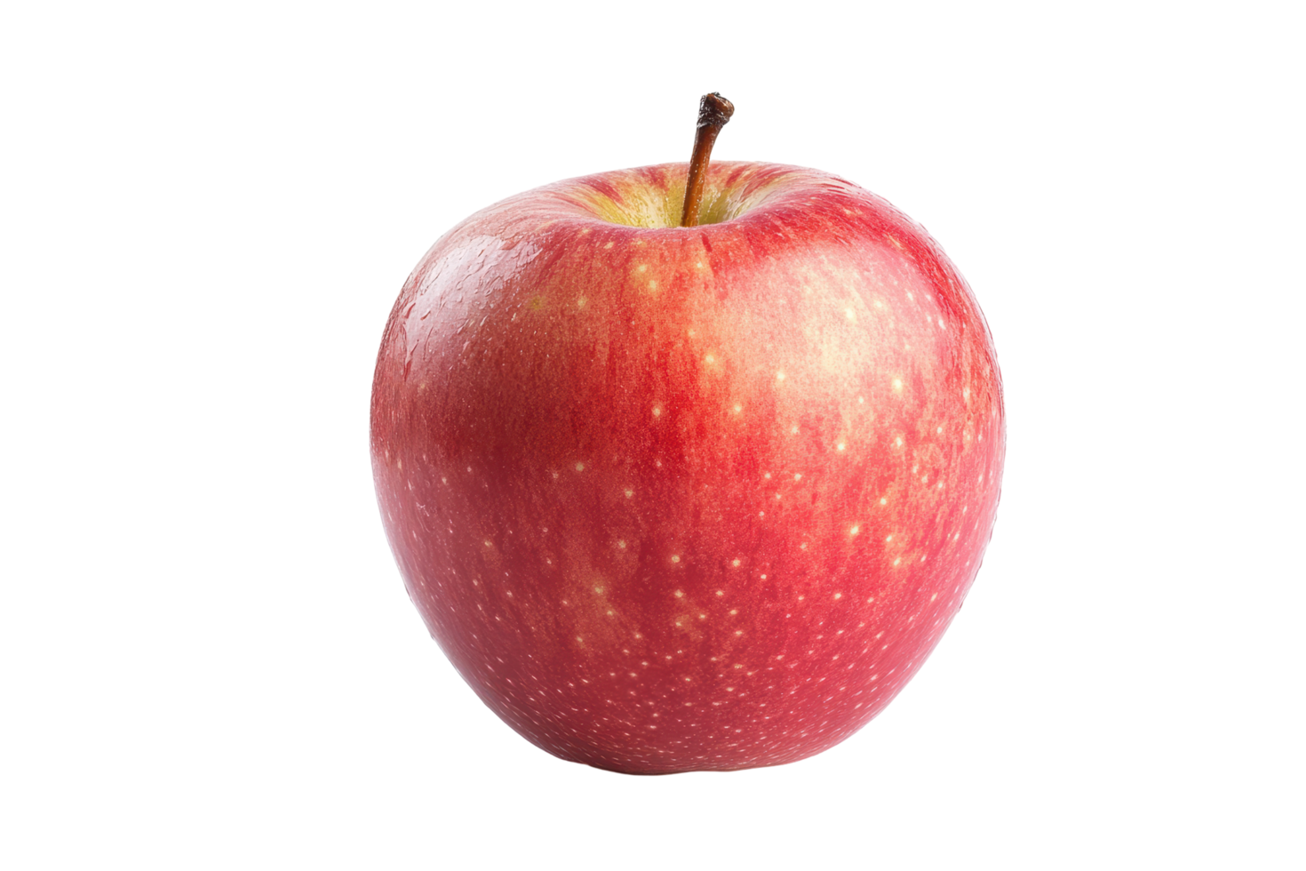 Close up view of a single, vibrant red . png