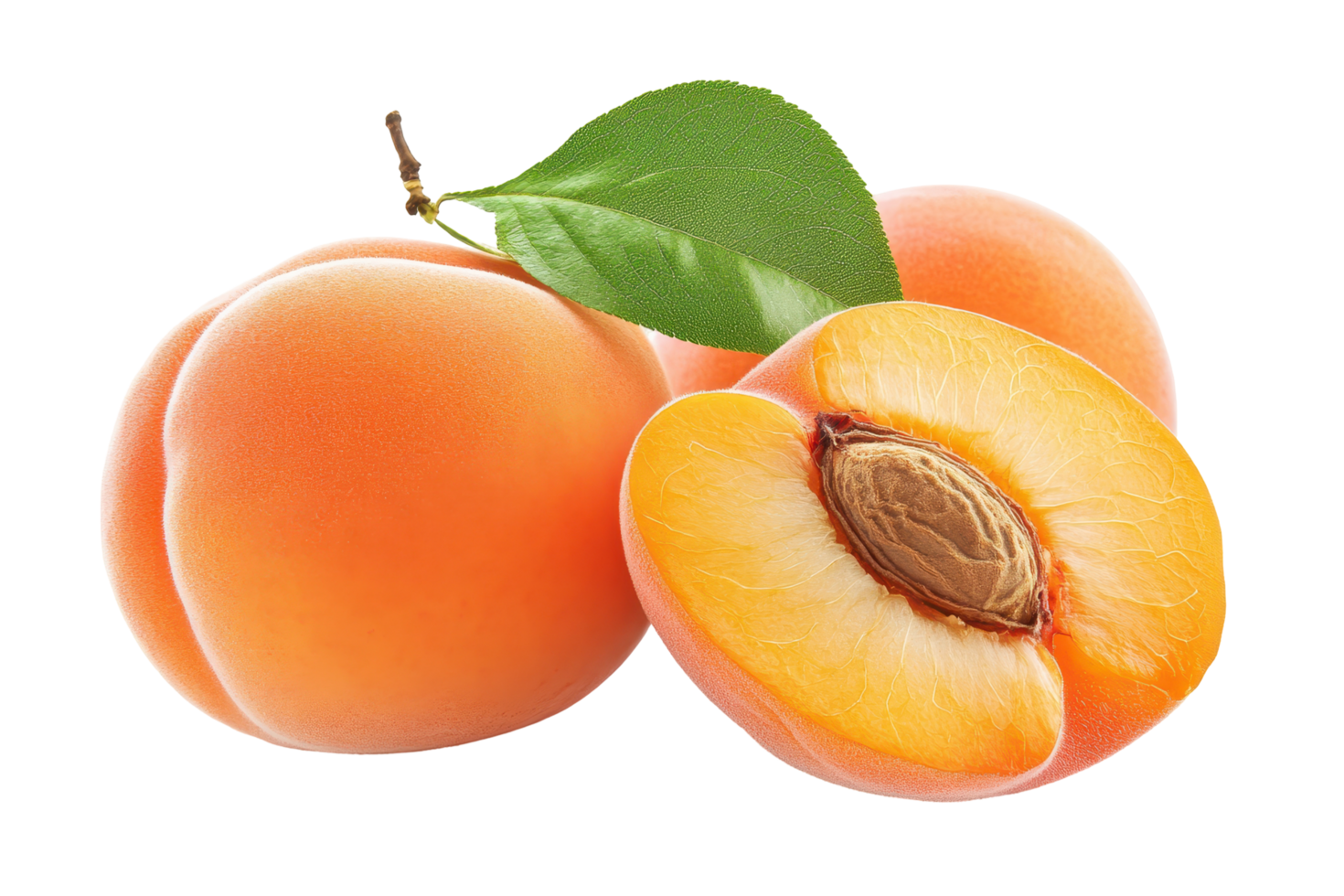 Fresh ripe apricots with leaves and a sectioned view. png