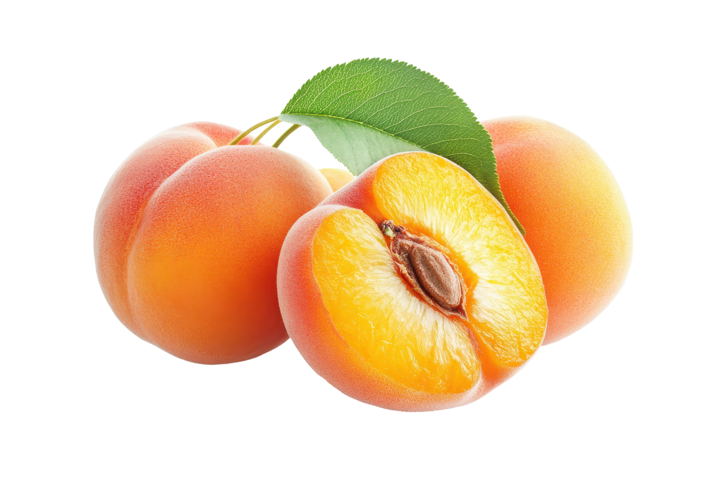 Close-up view of fresh, ripe apricots and one sliced open. png