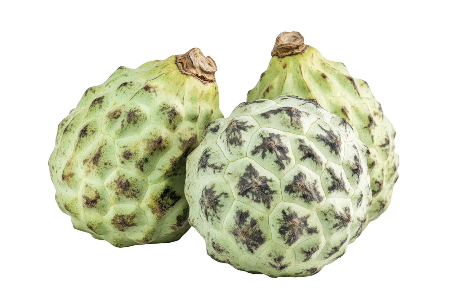 Close-up view of three fresh cherimoya fruits. png