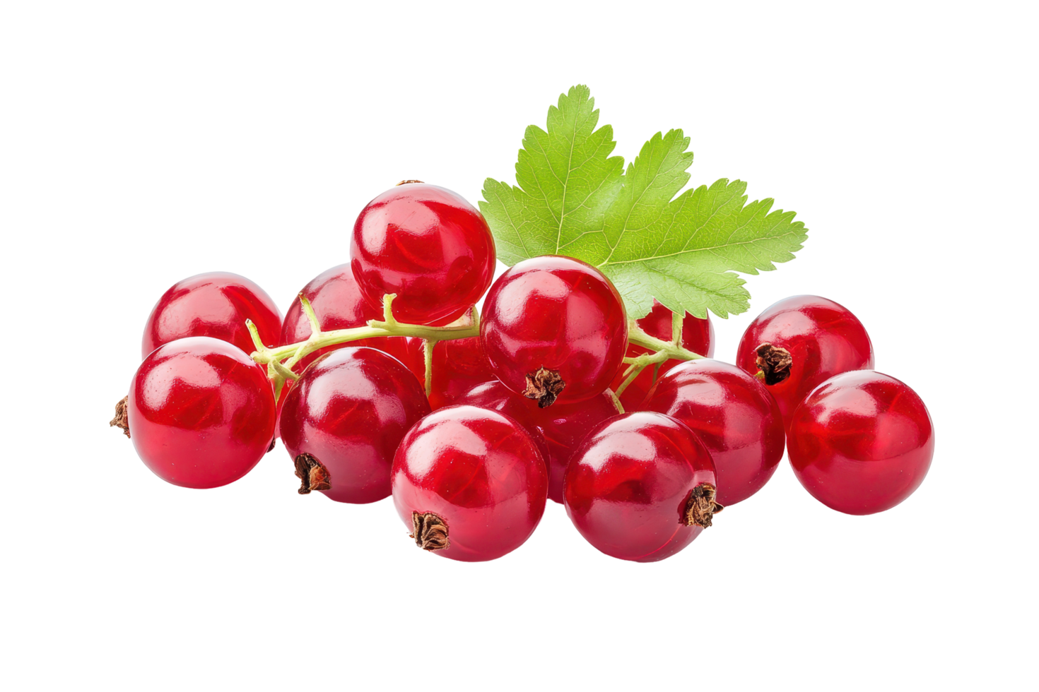 Close up view of a cluster of bright red currants. png