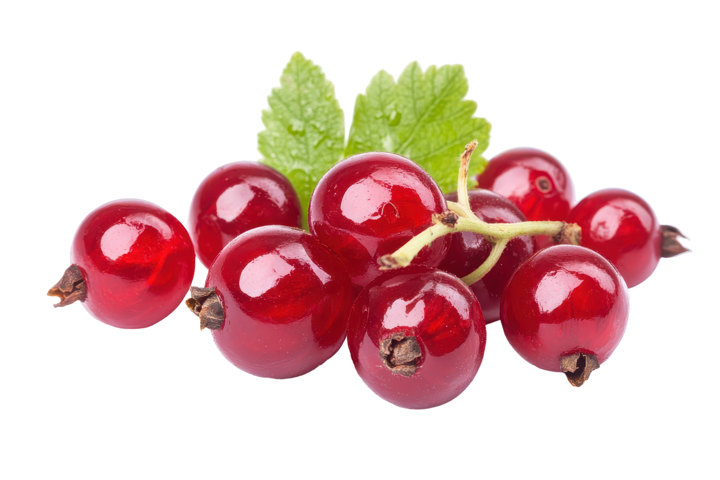 Close-up view of a cluster of red currants. png
