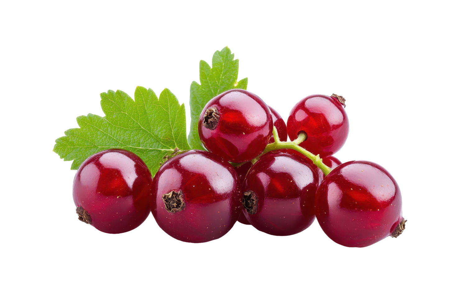 Close-up view of a cluster of red currants with leaves. png