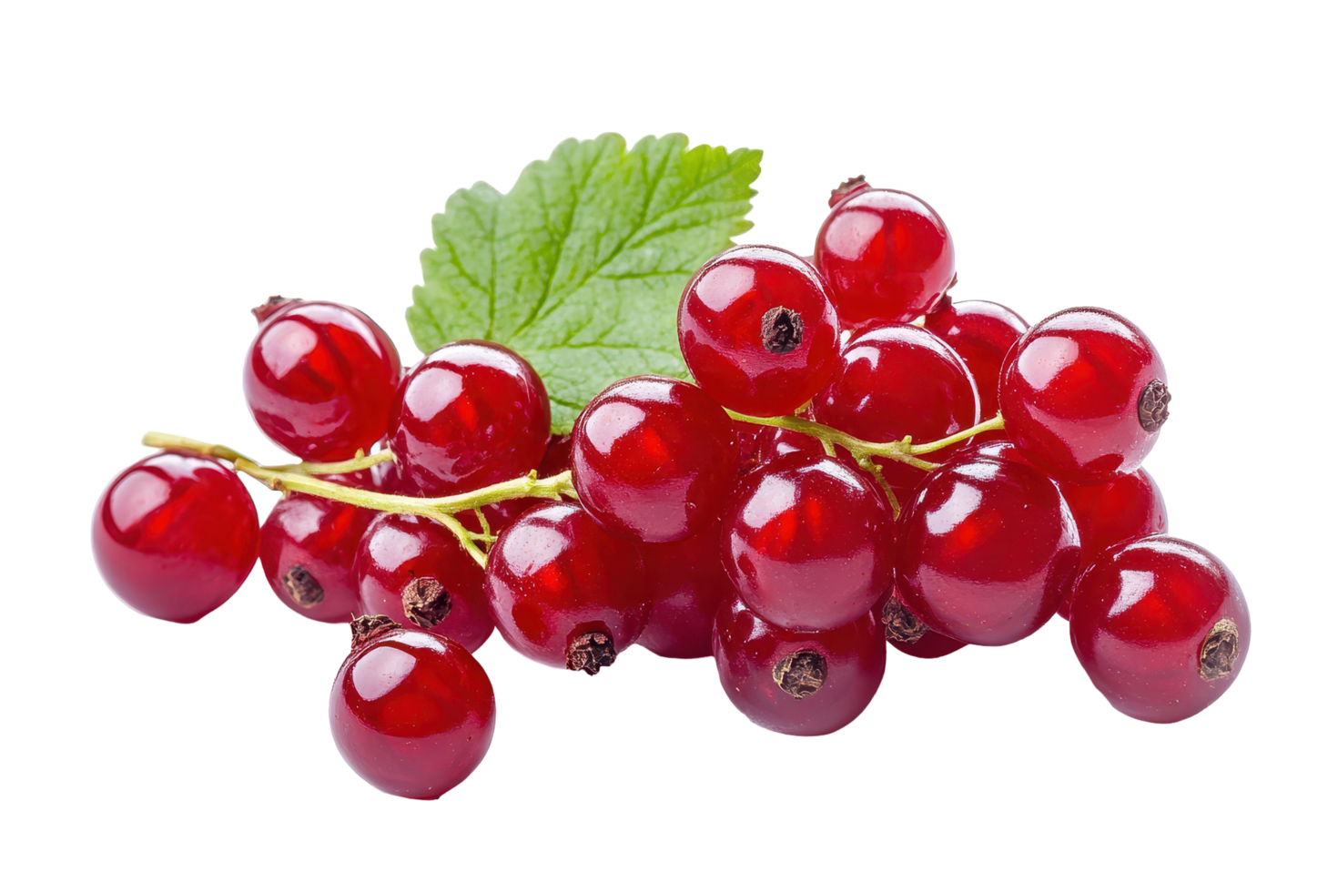 Close up of a cluster of ripe red currants. png