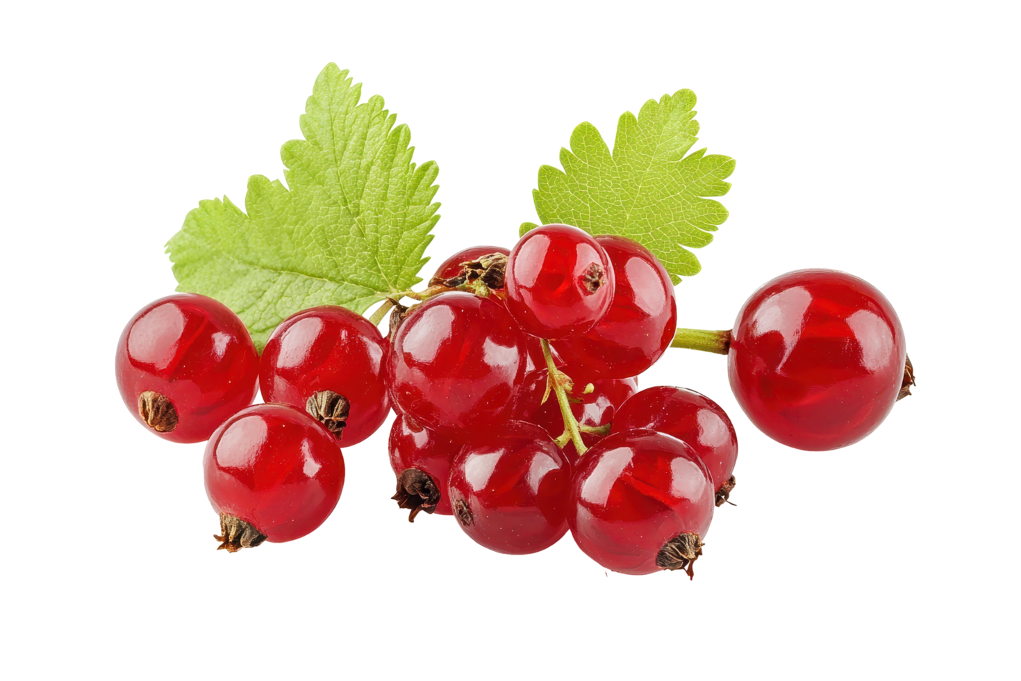 Close up view of a cluster of vibrant red currants png