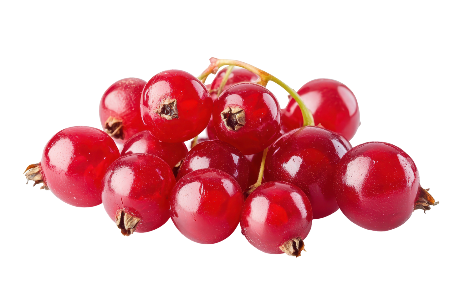 Close up view of a cluster of ripe red currants. png