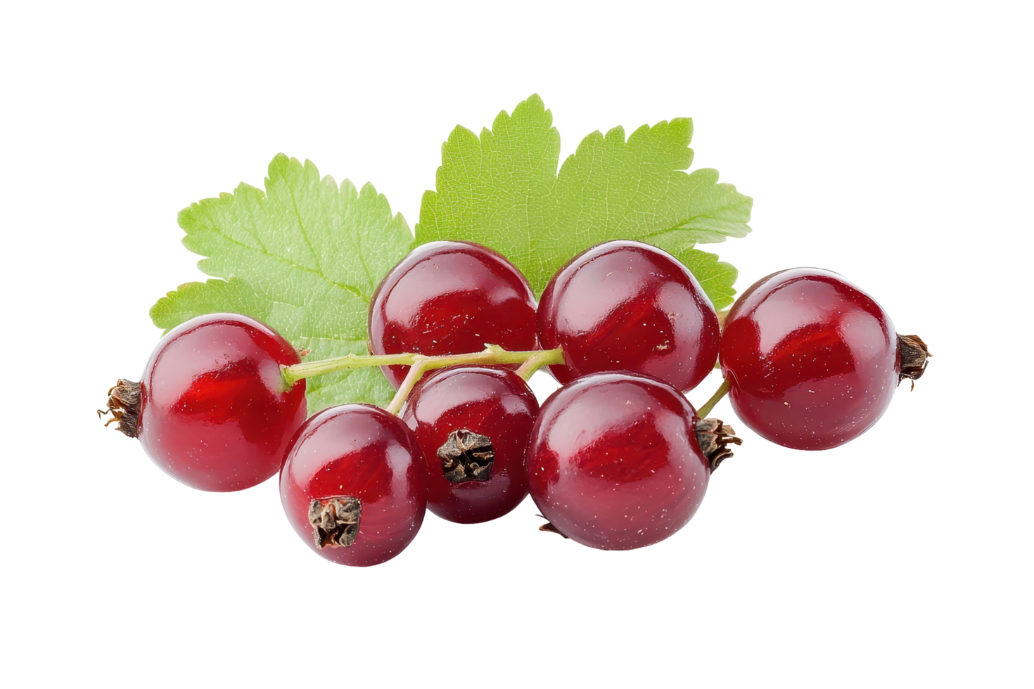Close-up view of vibrant red currants with leaves. png