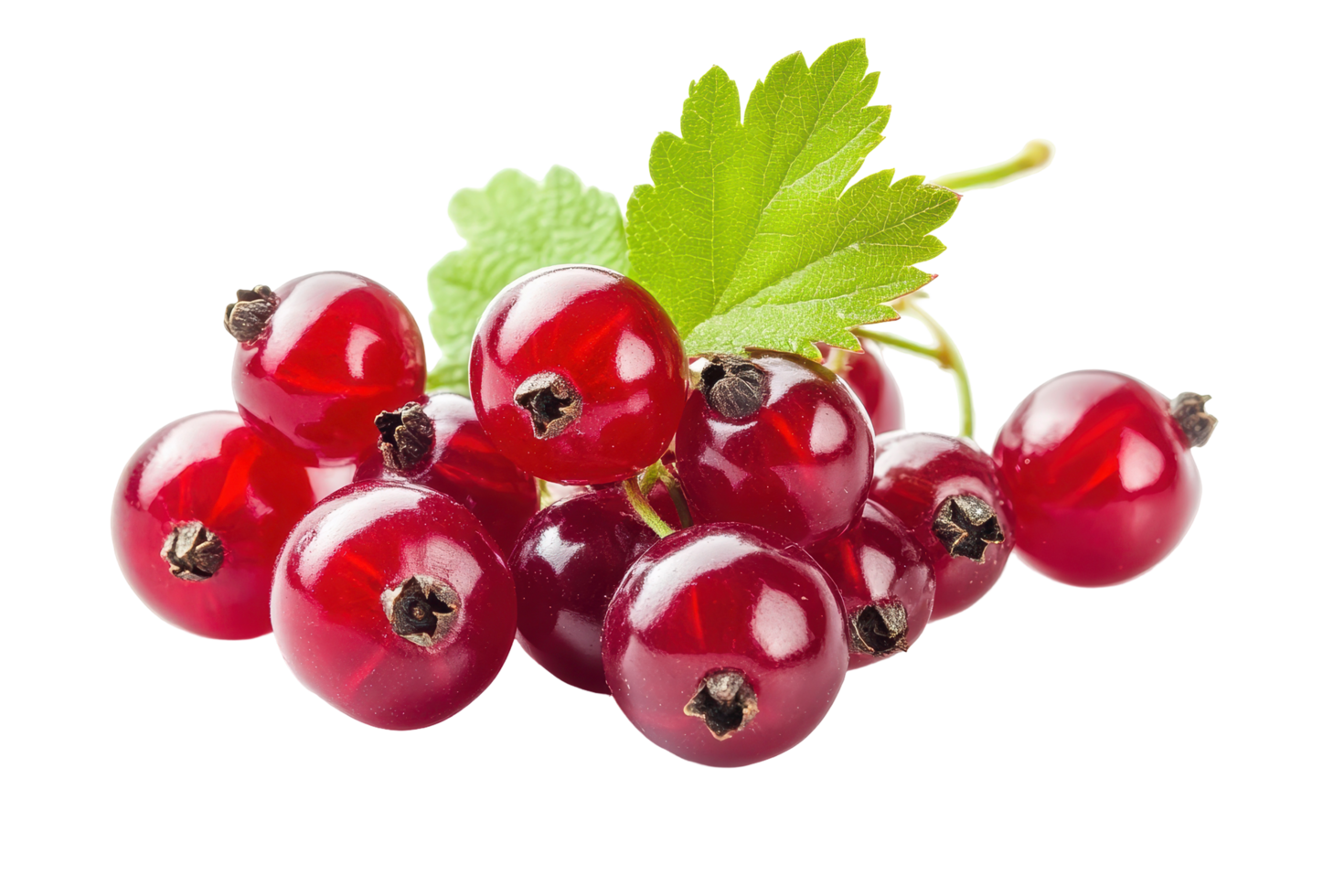 Cluster of vibrant red currants with leaves. png