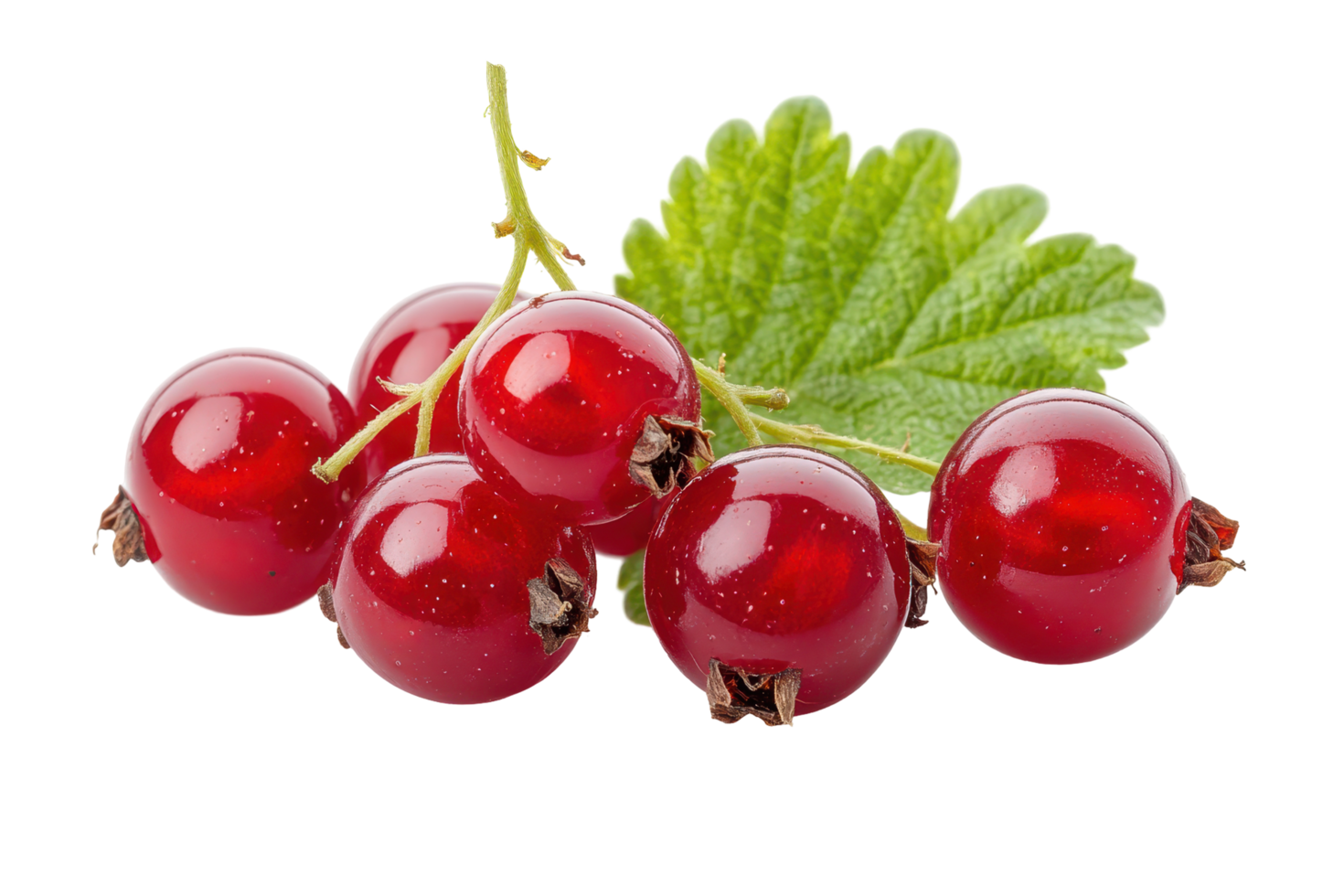 Fresh red berries cluster with leaves on a stem. png