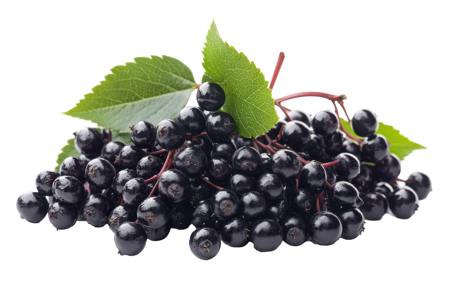 Close-up view of dark purple elderberries with leaves. png
