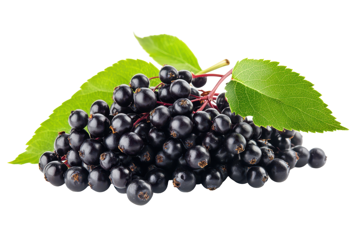 Close-up view of a cluster of dark purple berries. png