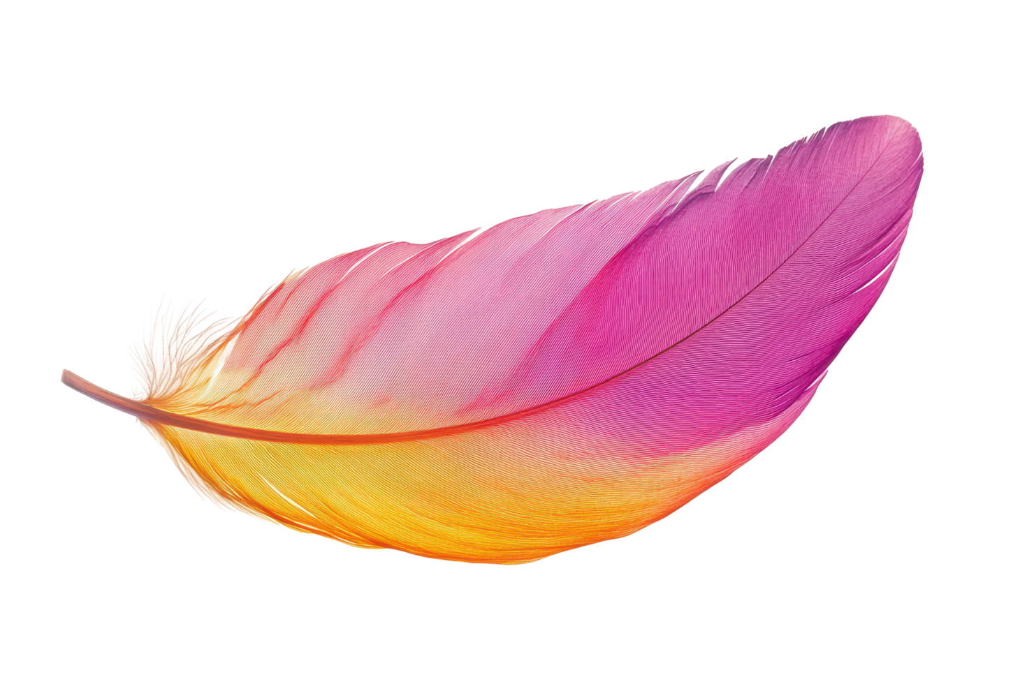 Vibrant, colorful feather in profile view, showcasing a spectrum of hues. png