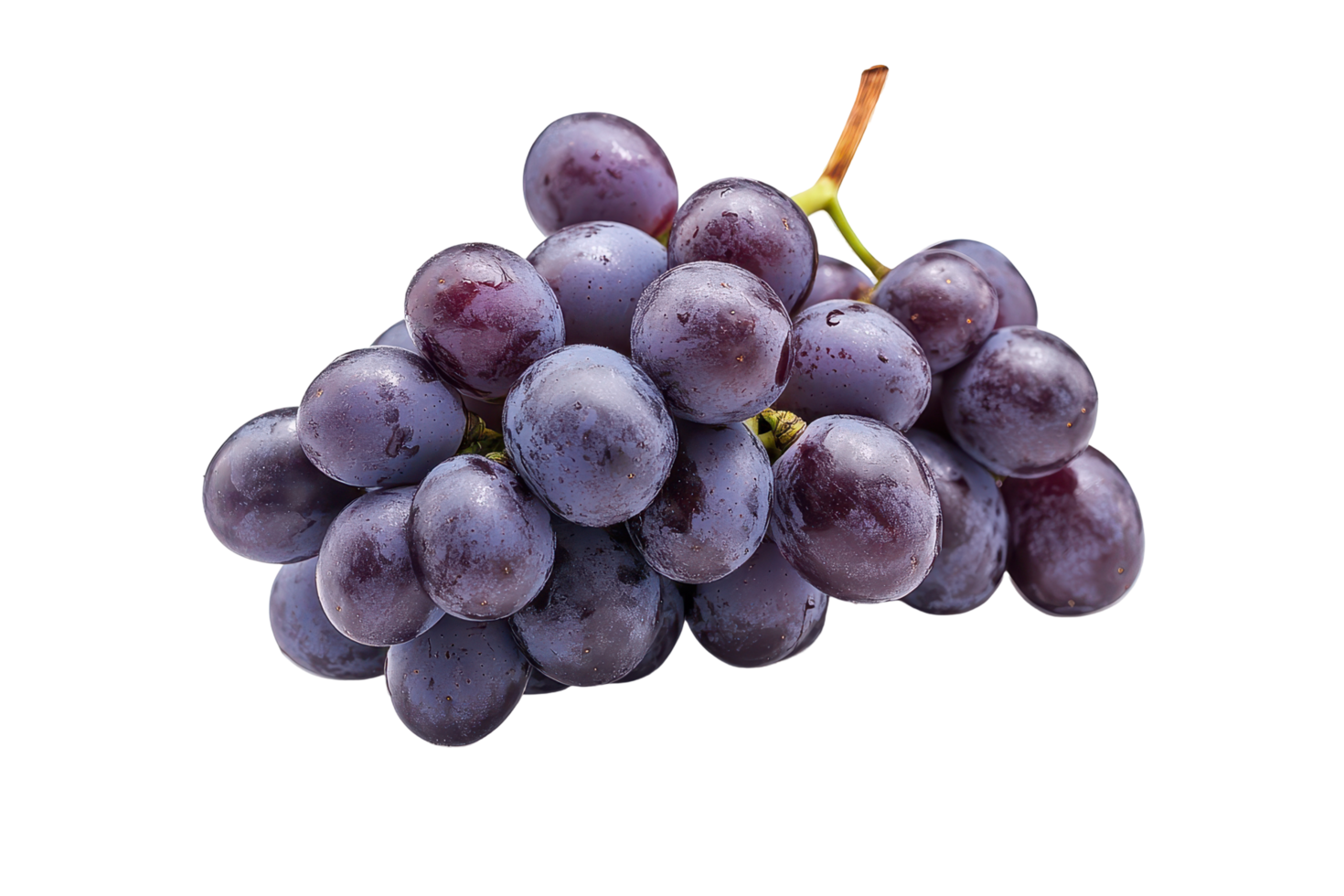 Close up view of a bunch of purple grapes. png