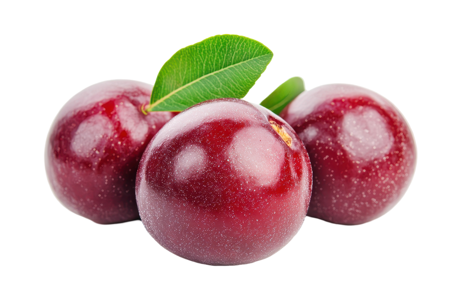 Close-up view of three vibrant crimson passion fruits. png