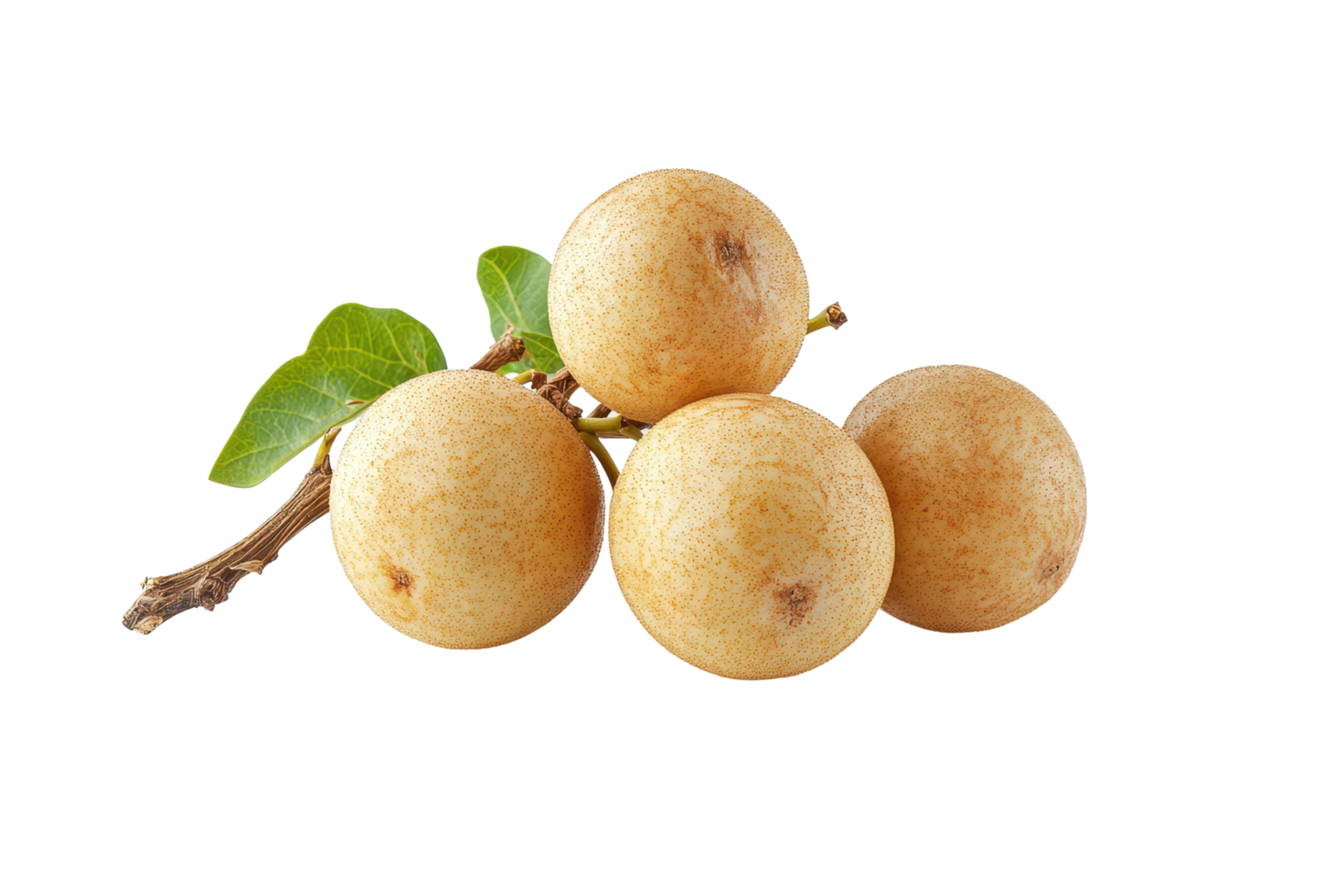 Close-up view of several tropical fruit clustered on a stem. png