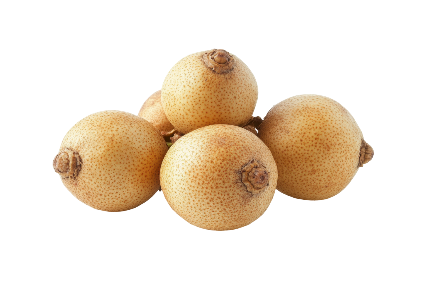 Close-up view of clustered, light-tan fruits. png