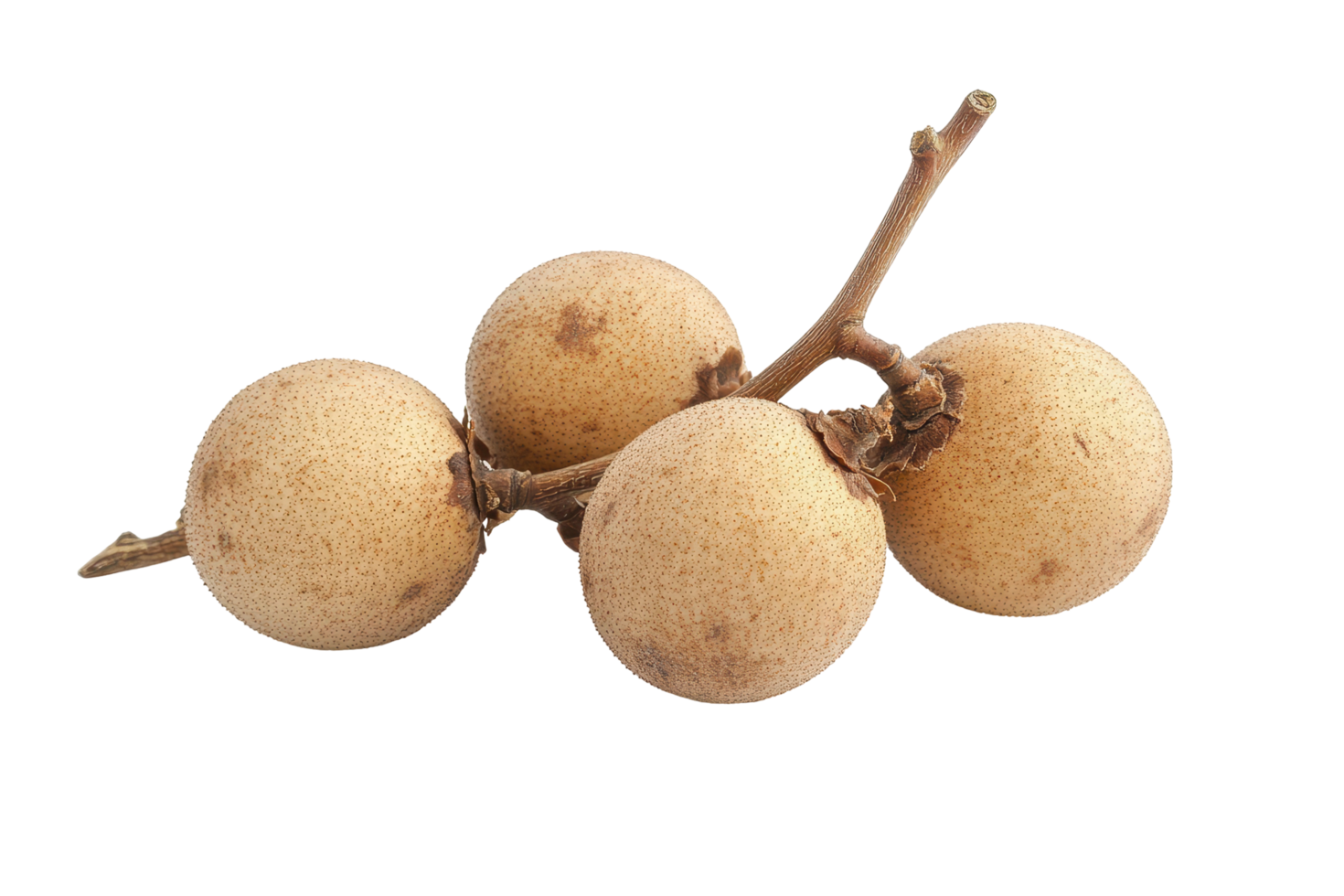 Close-up view of a cluster of fresh tropical fruits. png