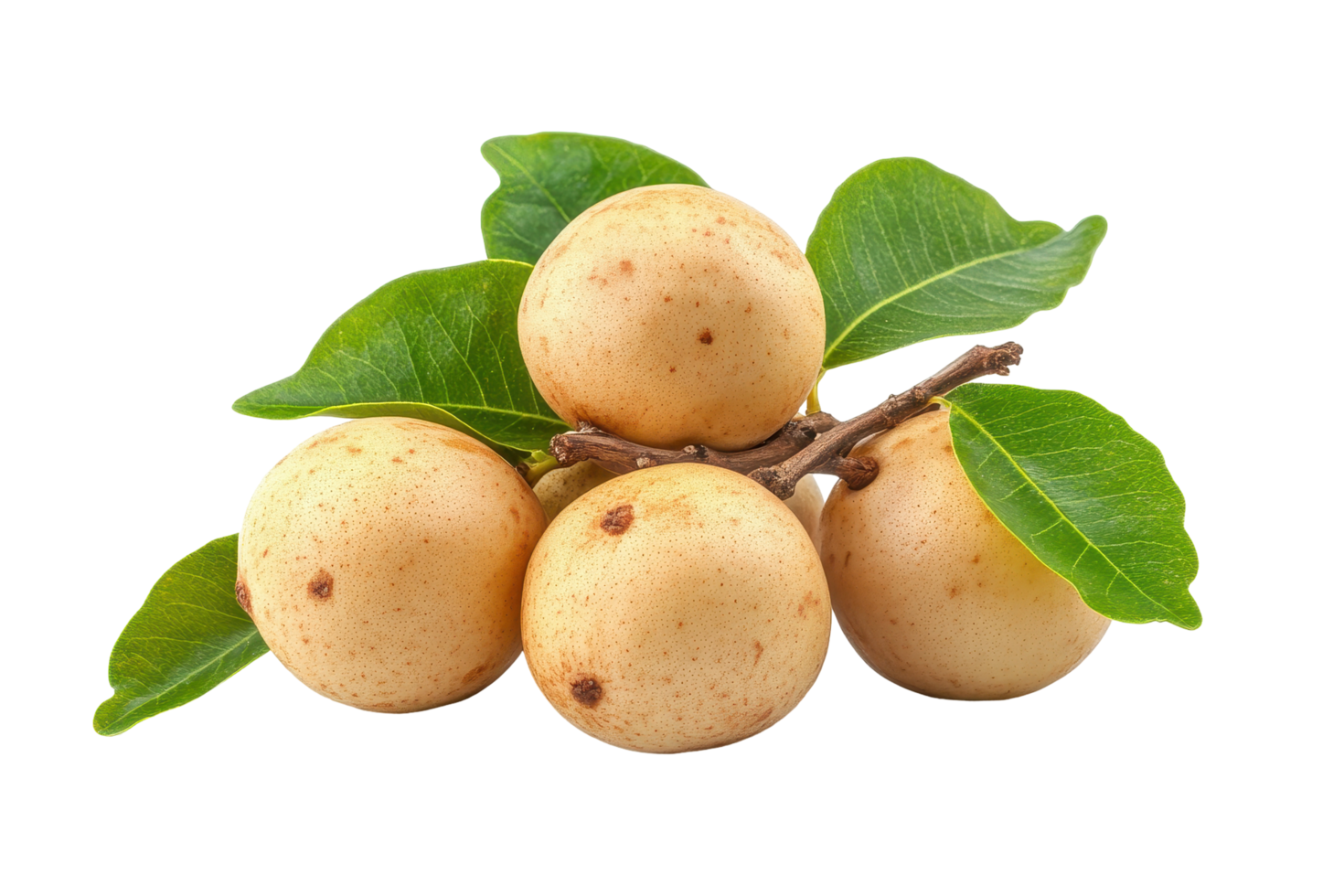 Close-up view of a bunch of fresh, light-tan tropical fruits. png