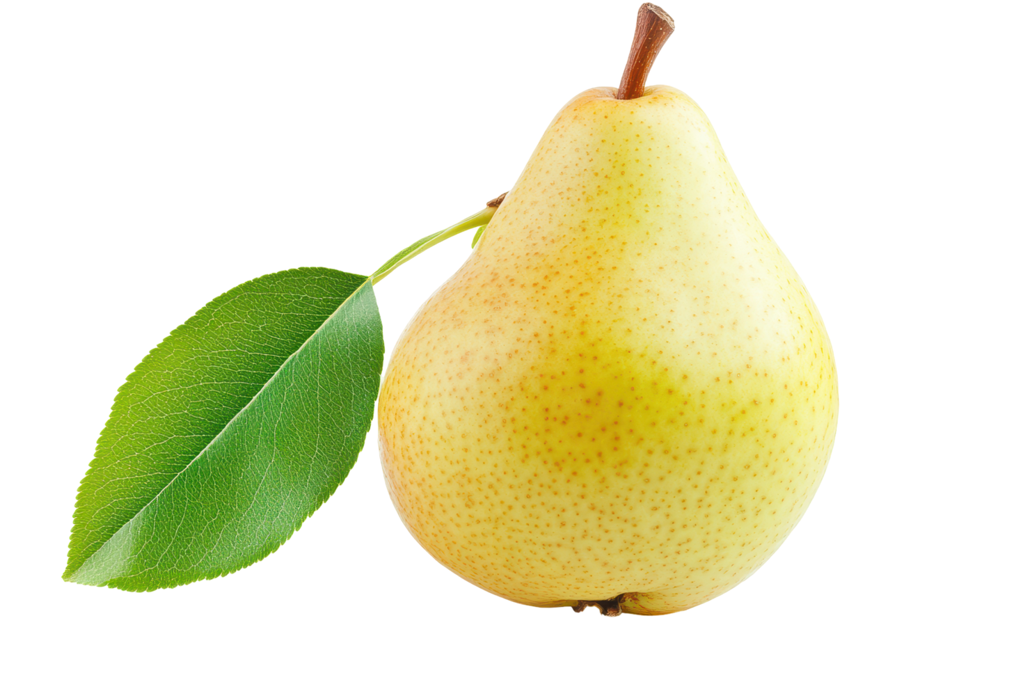 Close-up image of a yellow pear with leaves. png