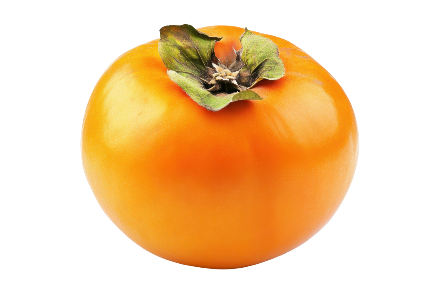 Close-up view of a single ripe persimmon. png