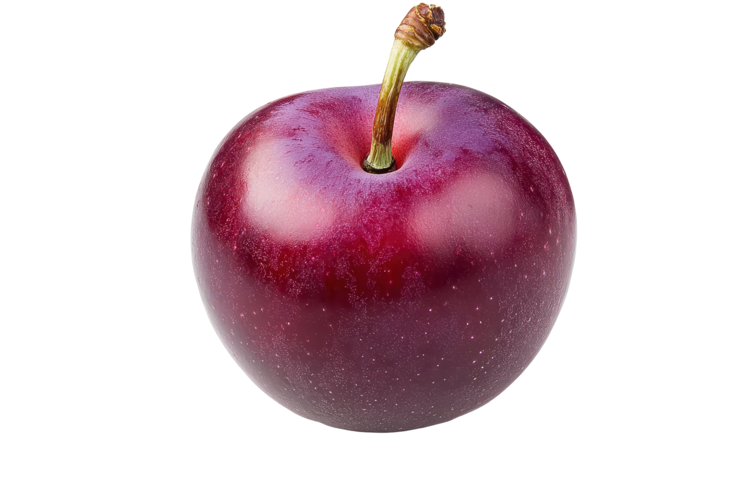 Close up of a single deep purple plum. png