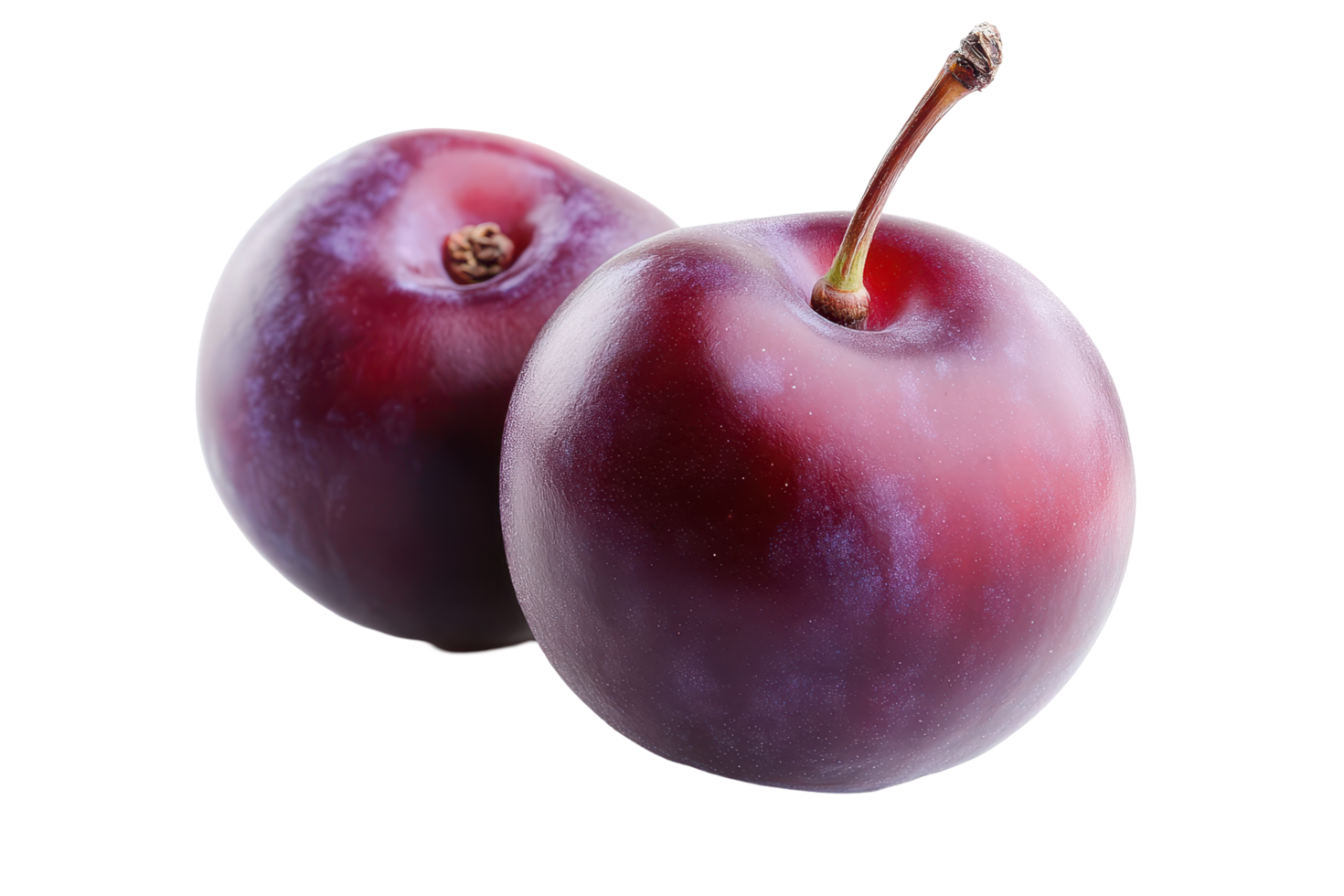 Close-up view of two vibrant plums. png