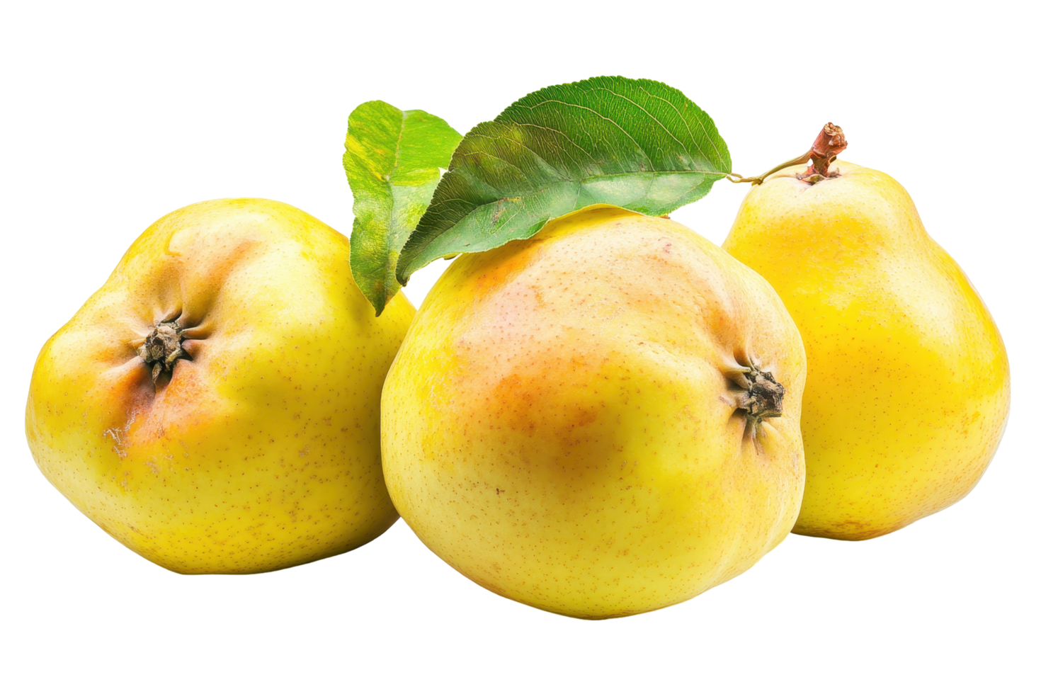 Three vibrant yellow pears with leaves. png