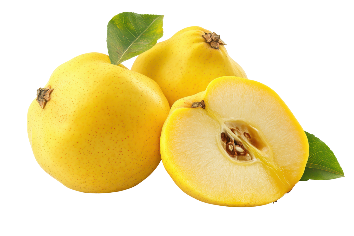 Three fresh quinces, one halved, displayed against a backdrop of gold and brown. png