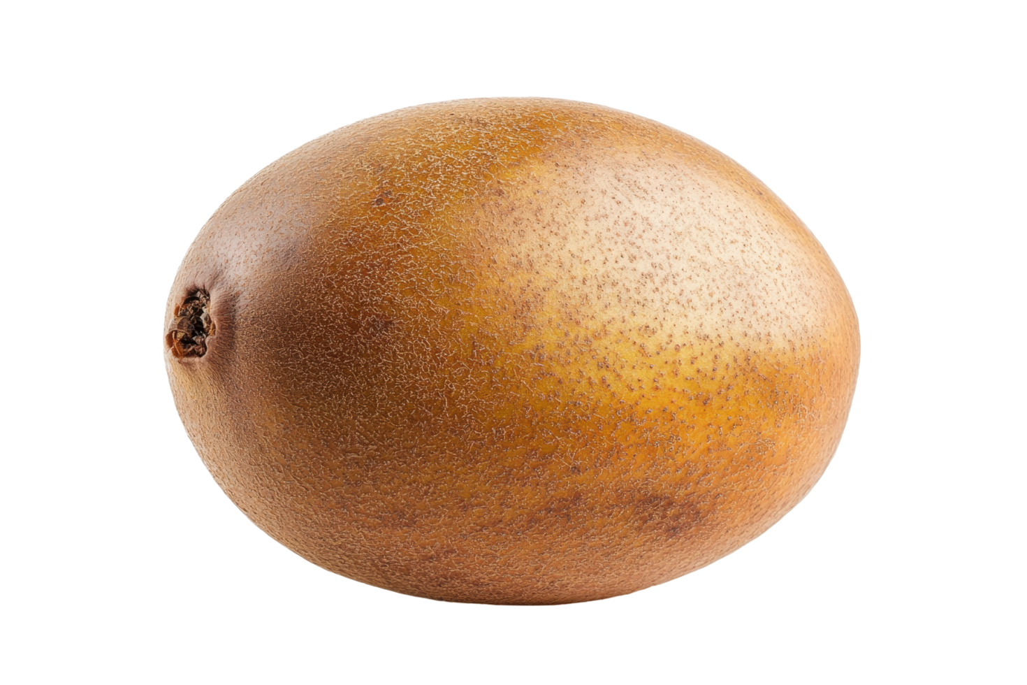 Close-up view of a golden-brown fruit. png