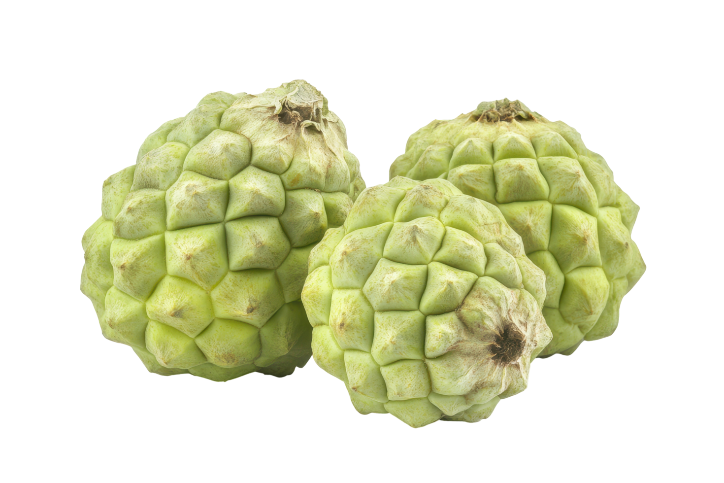 Three pale green fruits, close-up view. png