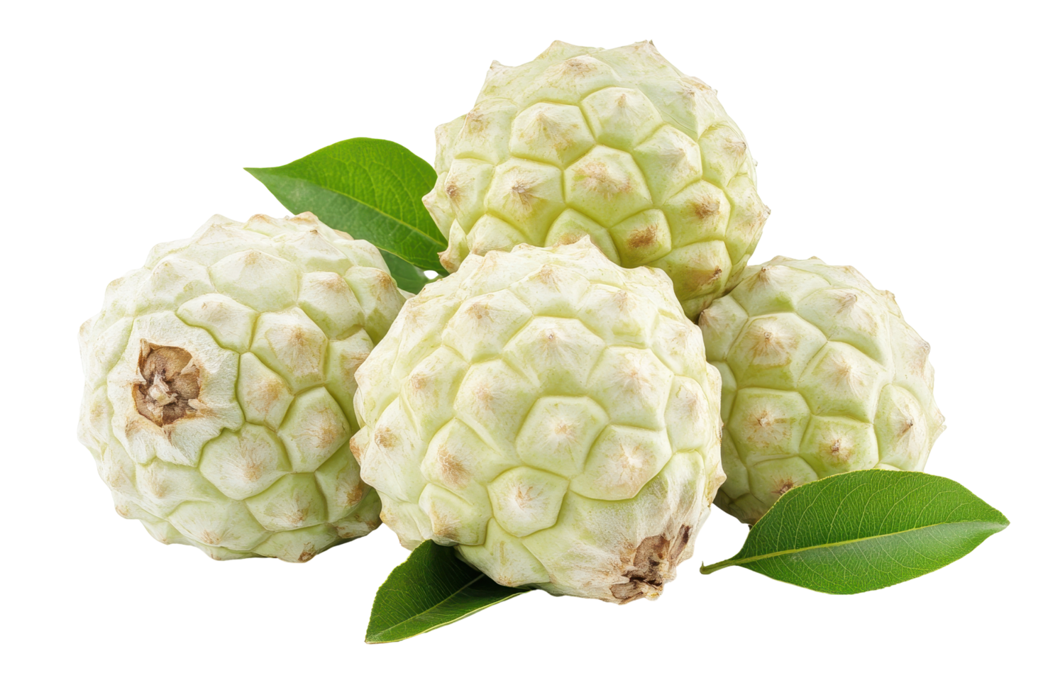 Close-up view of multiple exotic fruits with leaves. png