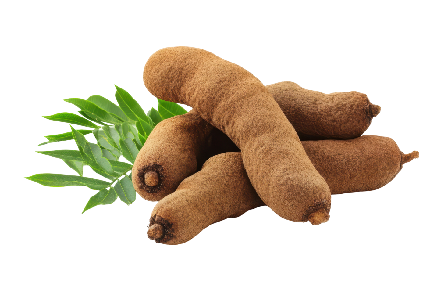 Close-up view of several fresh tropical roots. png