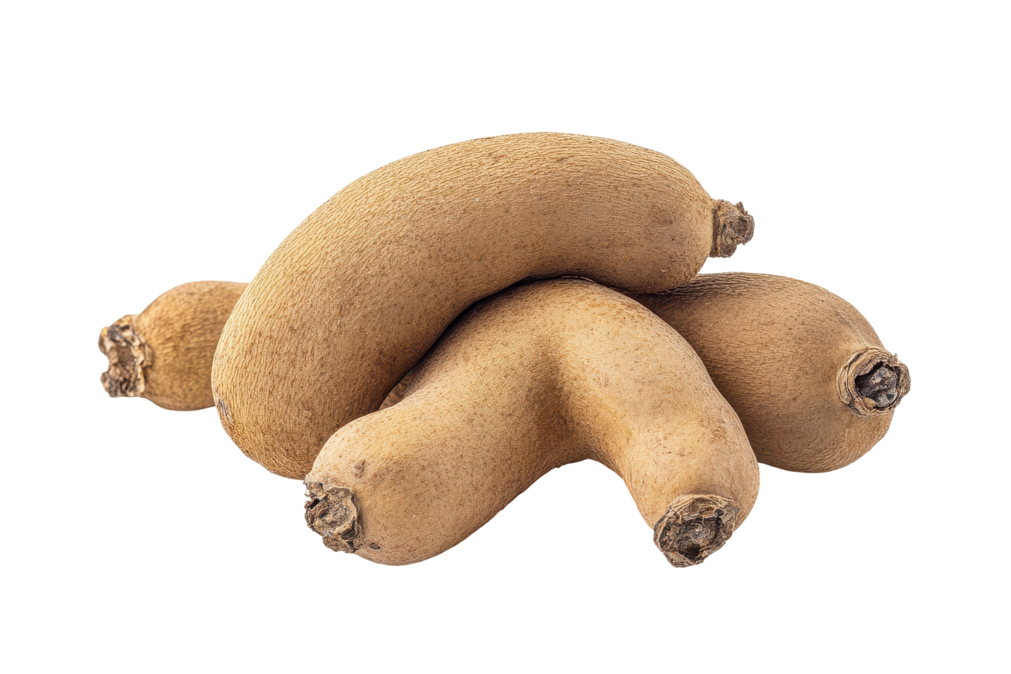 Close-up view of three unusual root vegetables. png