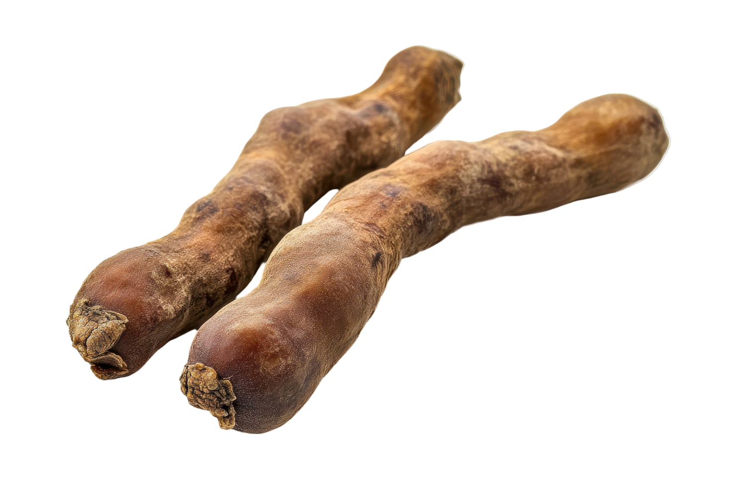 Two dried, elongated, unusual food items displayed. png