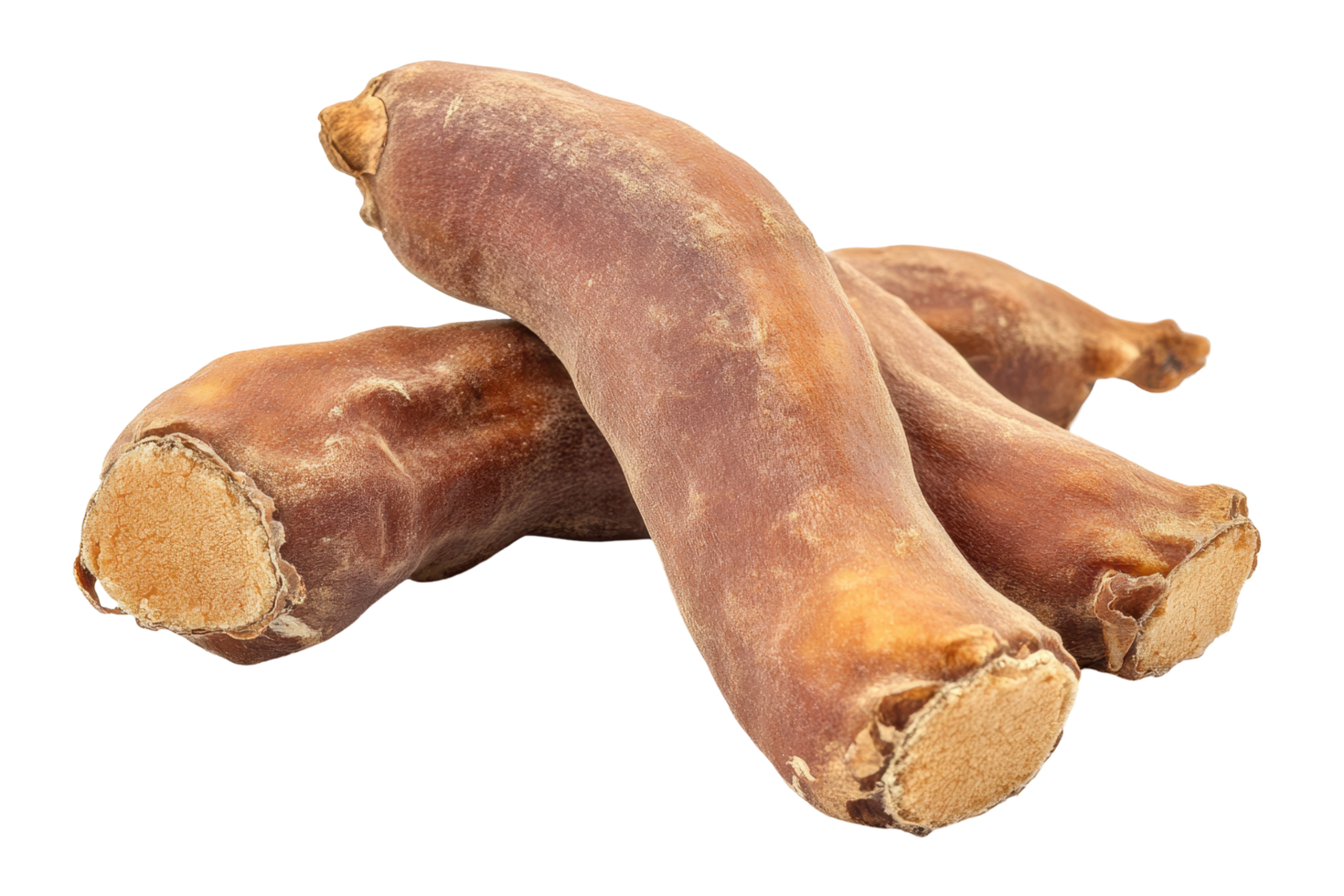 Two twisted, chewy dog treats, close-up view. png