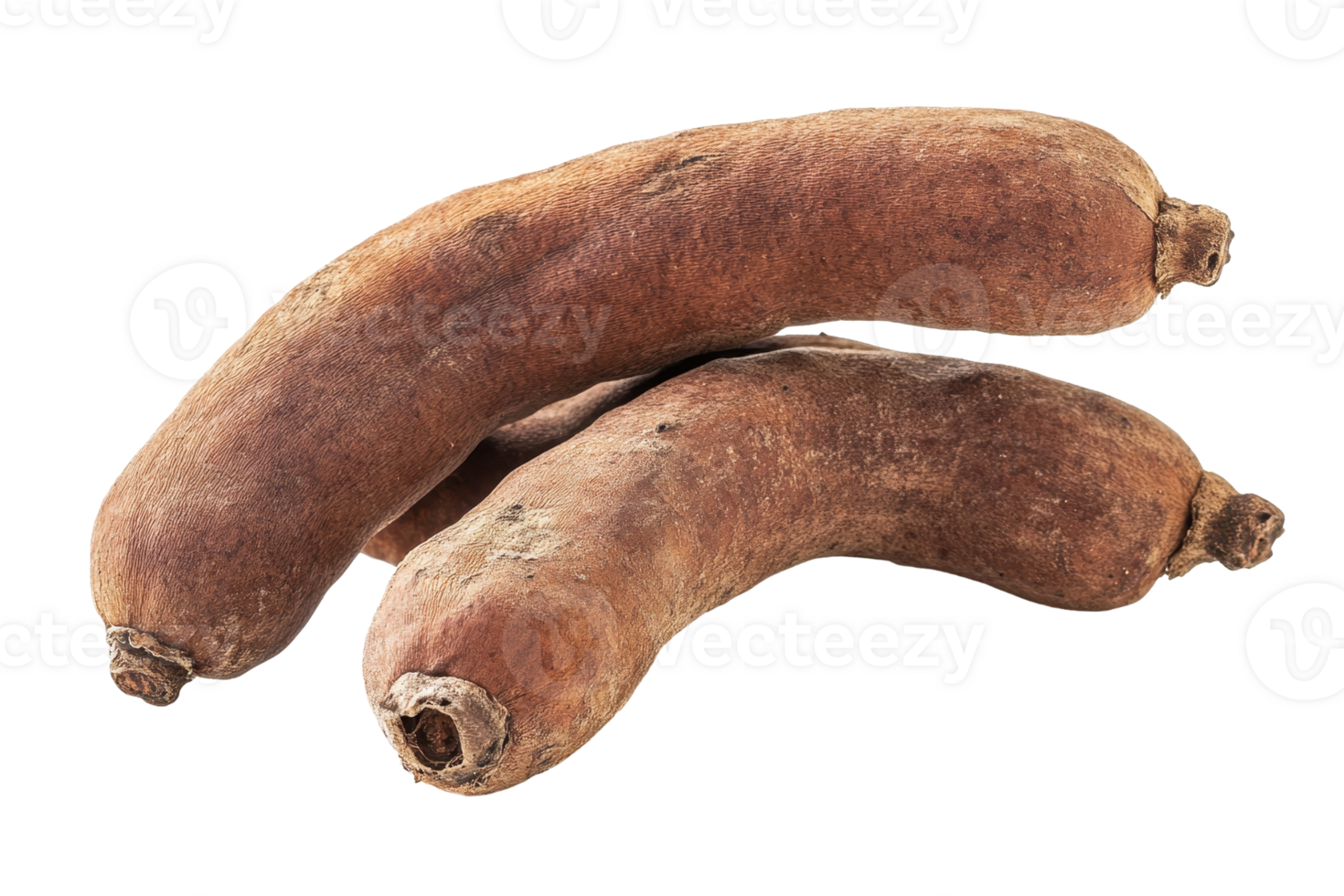 Two dried, curved, root vegetables with textured skin. png