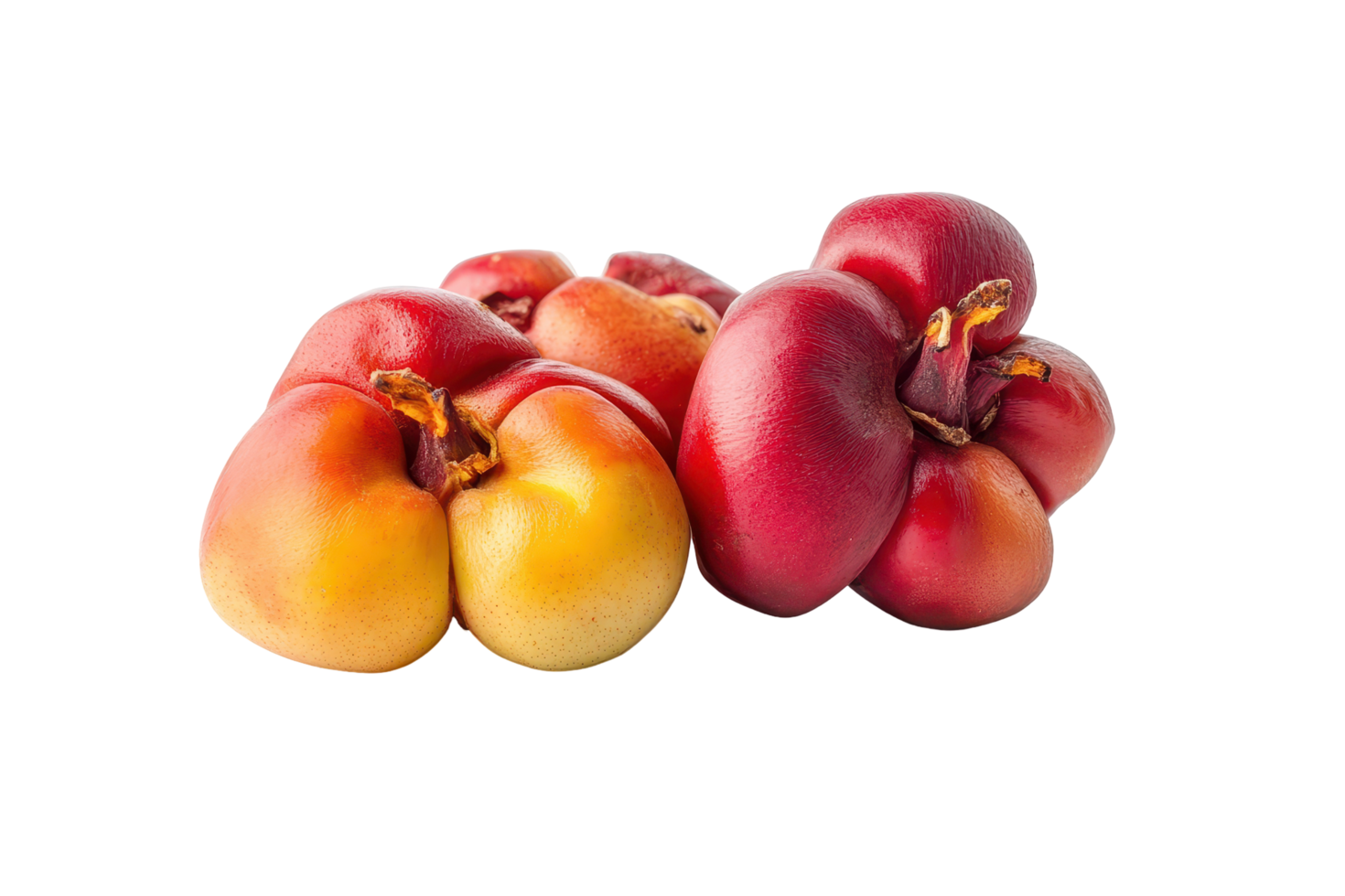 Close-up view of colorful, clustered tropical fruits. png