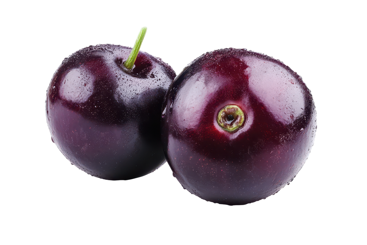 Close-up view of two plump, dark purple plums. png