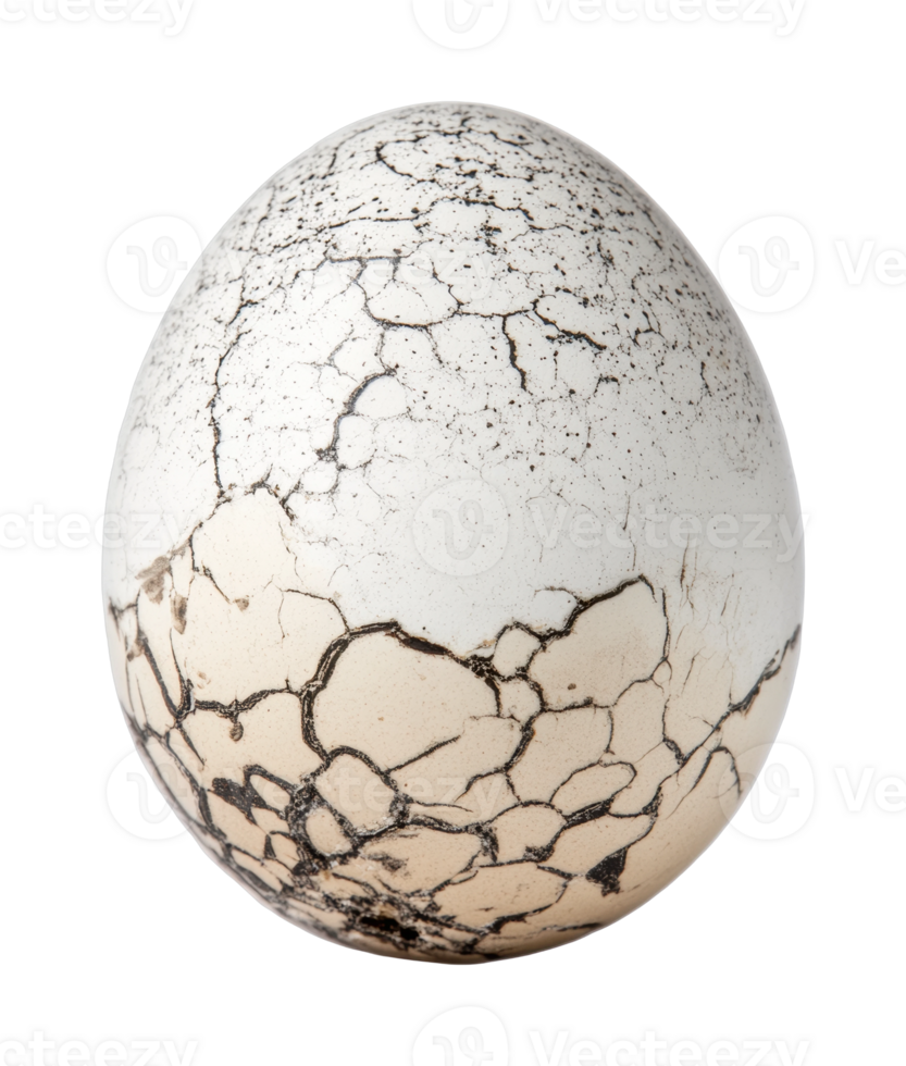 Cracked patterned egg with textured shell design png