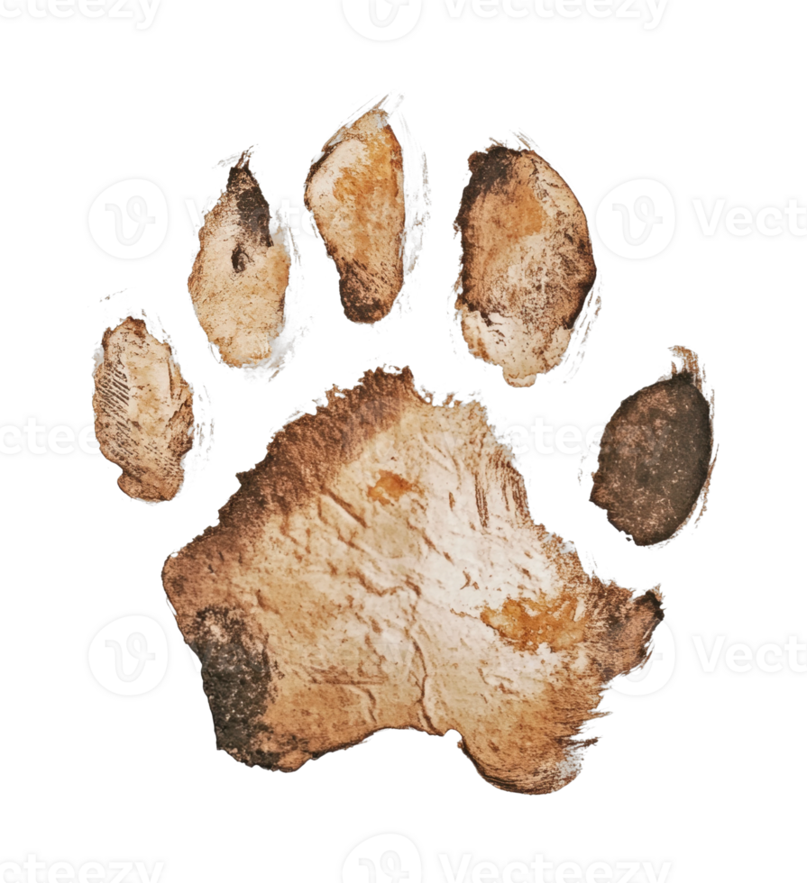 Realistic animal paw print with textured details and muddy appearance png