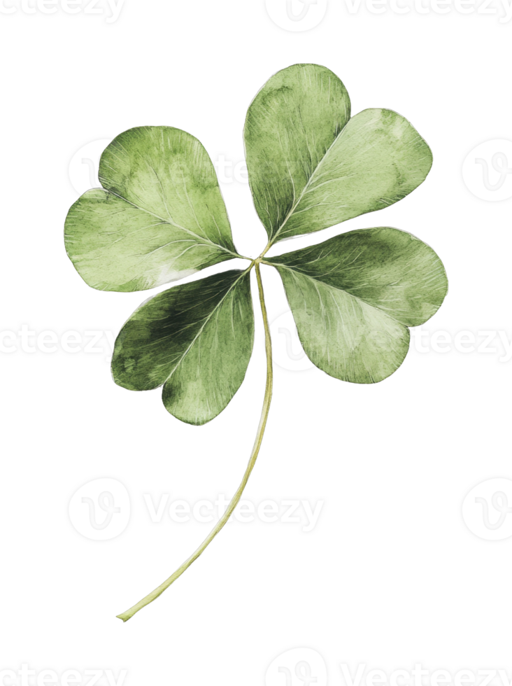 Four-leaf clover symbol of luck and fortune png
