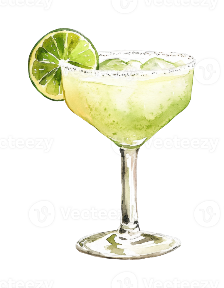 Margarita cocktail with lime slice and salt rim png