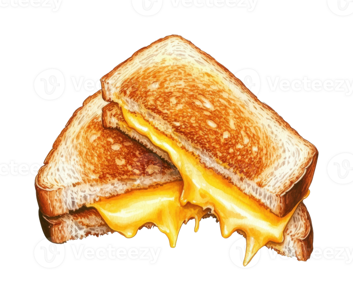 Mouthwatering grilled cheese sandwich with melting cheddar png