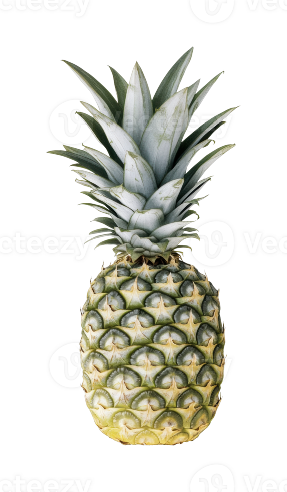 Fresh pineapple with spiky green leaves and textured skin png