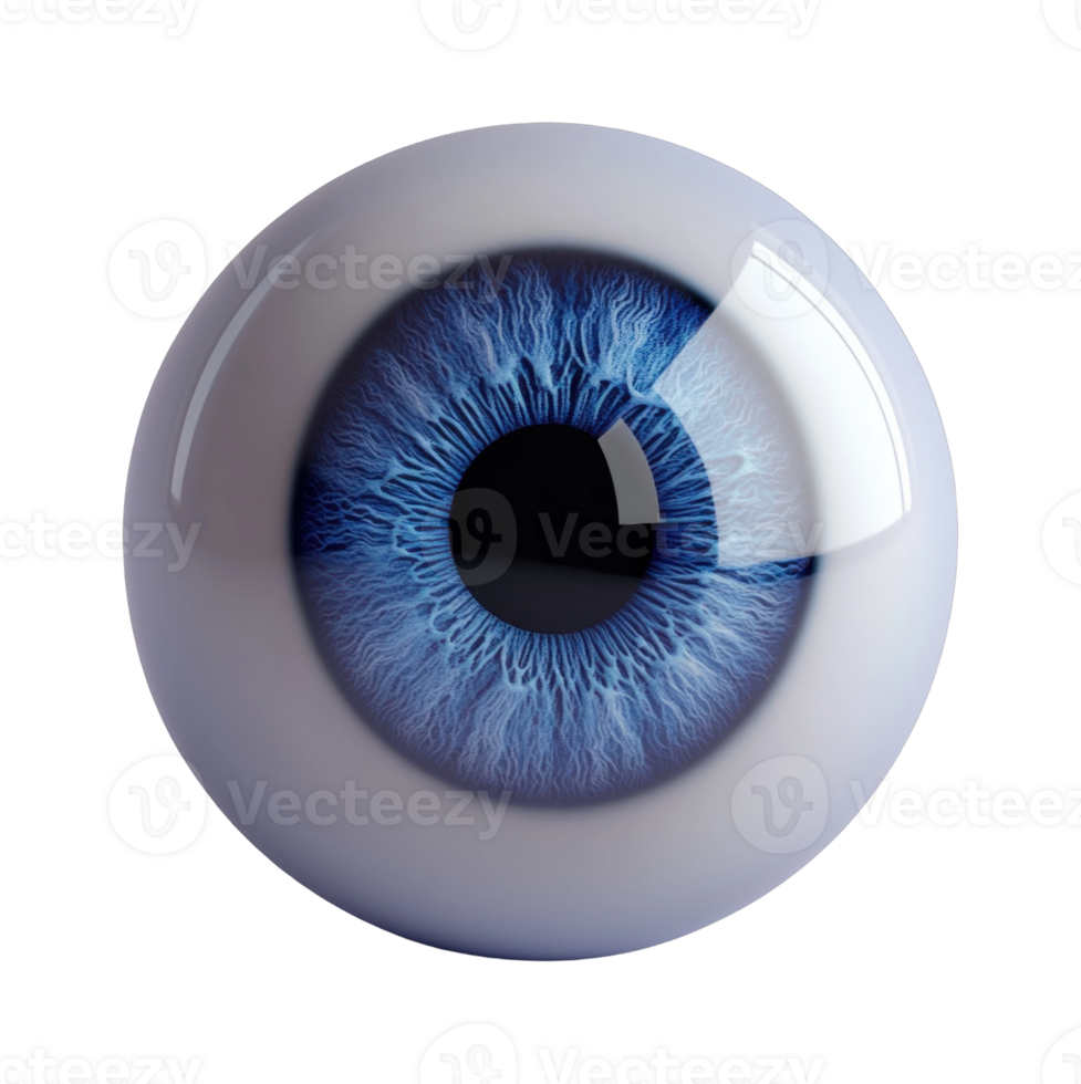 Realistic 3d blue human eye with detailed iris reflection png