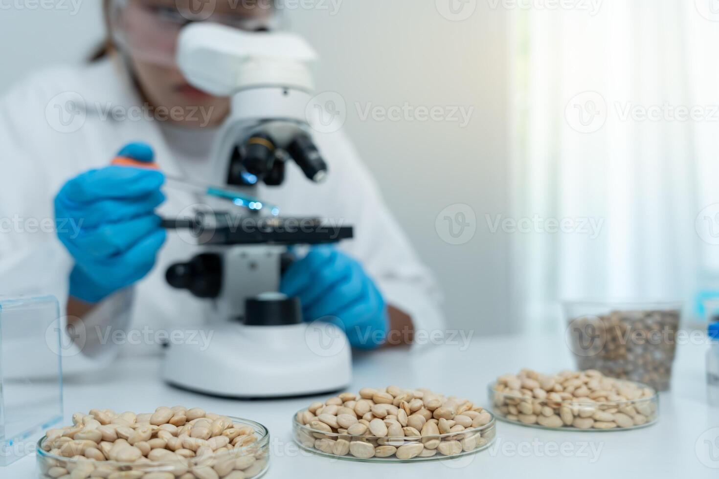 Scientist check chemical whole grains residues in laboratory. Control experts inspect the concentration of chemical residues. hazards, standard, prohibited substances, contaminate Microbiologist photo