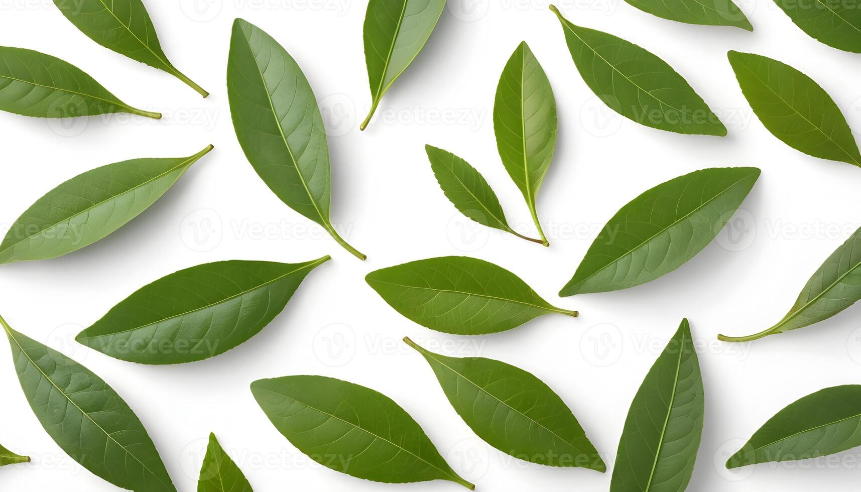 Scattered Green Leaves Pattern on White Background Simple Natural Design photo