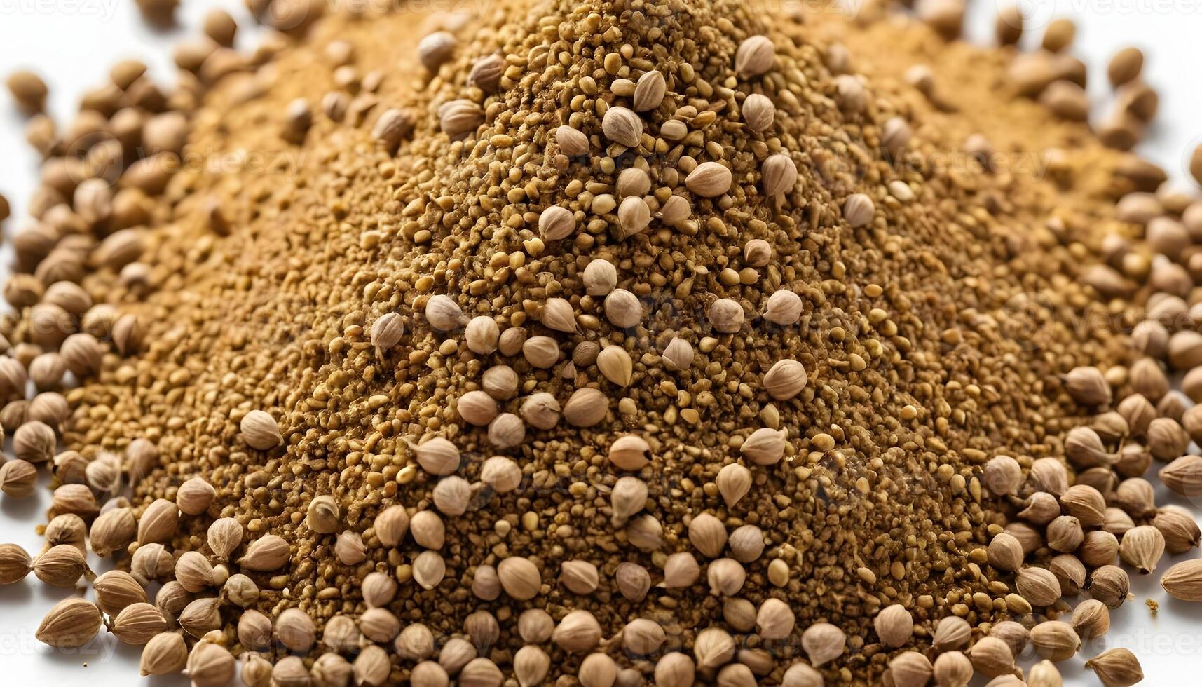 Pile of Coriander Seeds and Ground Spice on White Background photo