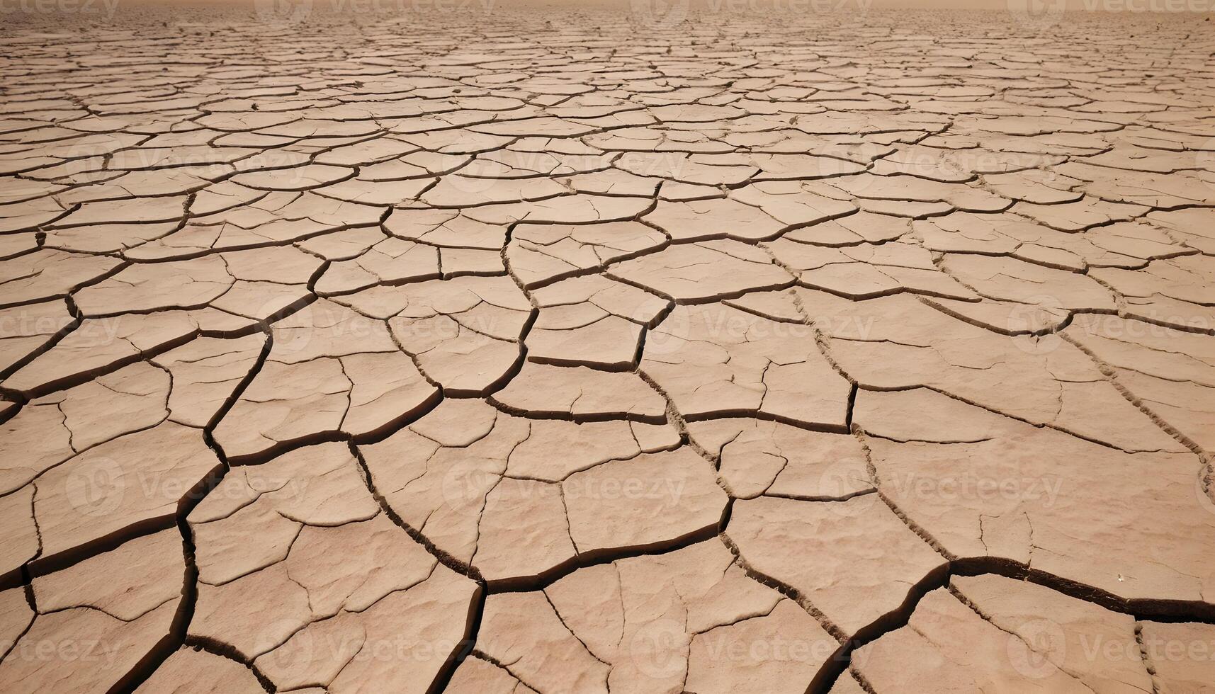 Cracked Dry Earth Landscape with Arid Ground Surface and Distant Horizon photo