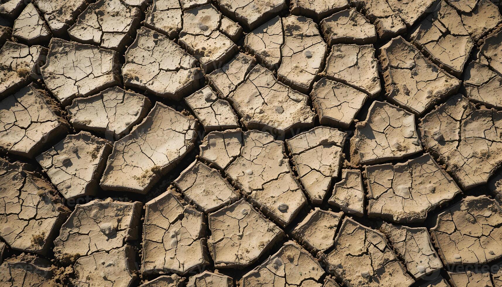 Dry Cracked Earth Texture Showing Arid Land Condition and Drought photo